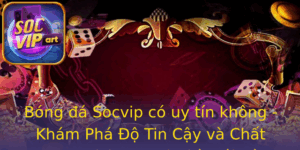 Bong A Socvip Co Uy Tin Khong Kham Pha O Tin Cay Va Chat Luong Dich Vu Tai Nha Cai Nay