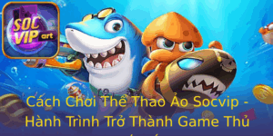 Cach Choi The Thao Ao Socvip Hanh Trinh Tro Thanh Game Thu Xuat Sac