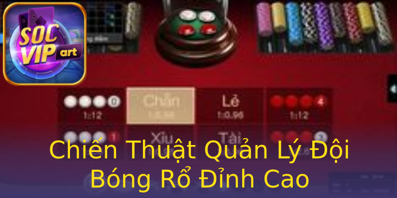 Chiến Thuật Quản Lý Đội Bóng Rổ Đỉnh Cao Chiến Thuật Quản Lý Đội Bóng Rổ Đỉnh Cao