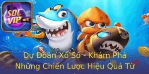 Du Oan Xo So Kham Pha Nhung Chien Luoc Hieu Qua Tu Chuyen Gia