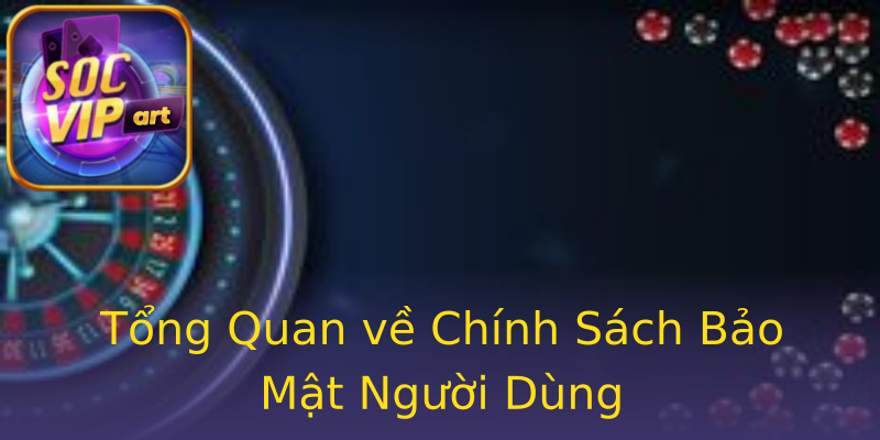 Tổng Quan về Chính Sách Bảo Mật Người Dùng Tổng Quan về Chính Sách Bảo Mật Người Dùng